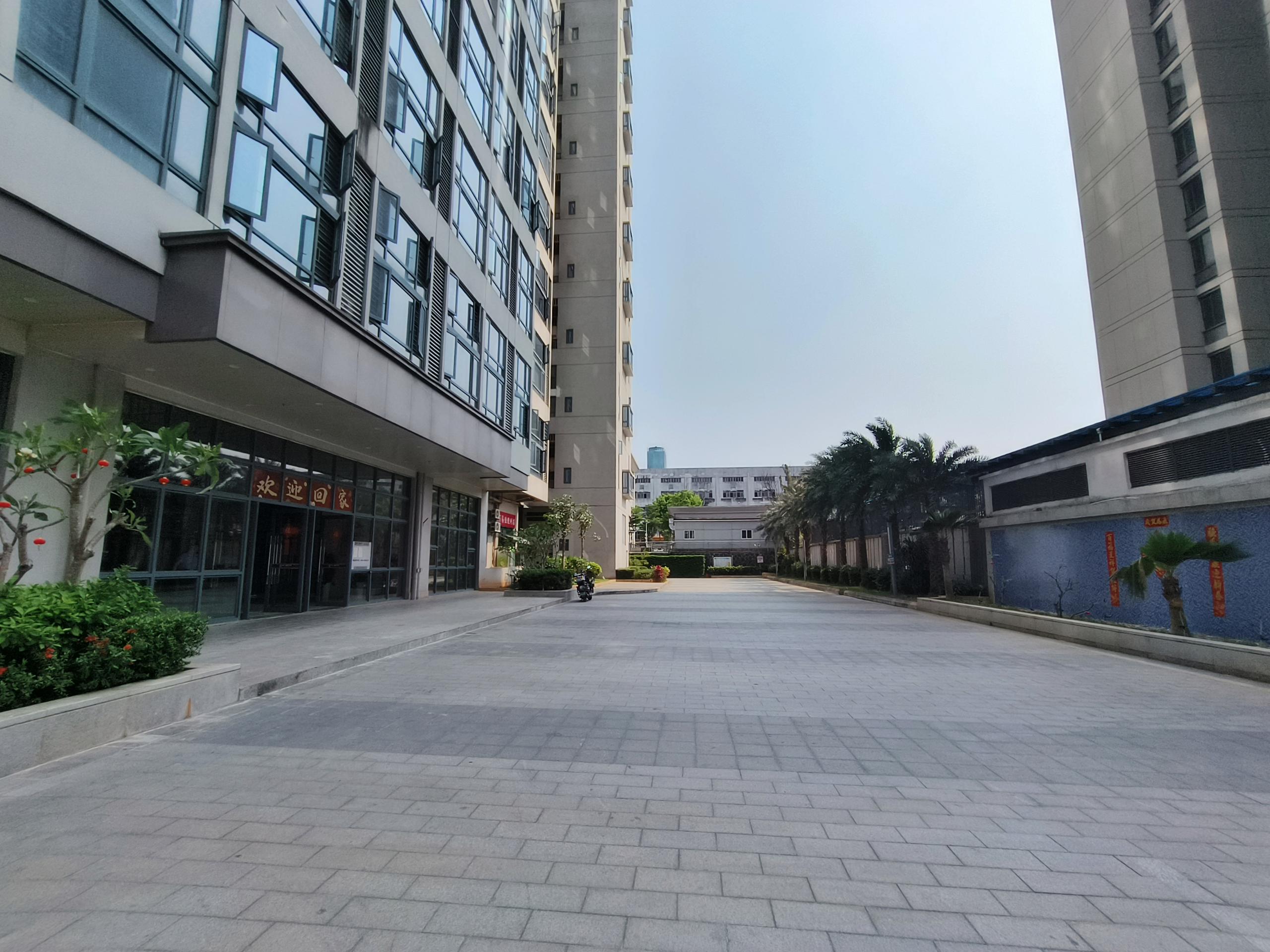 外景图