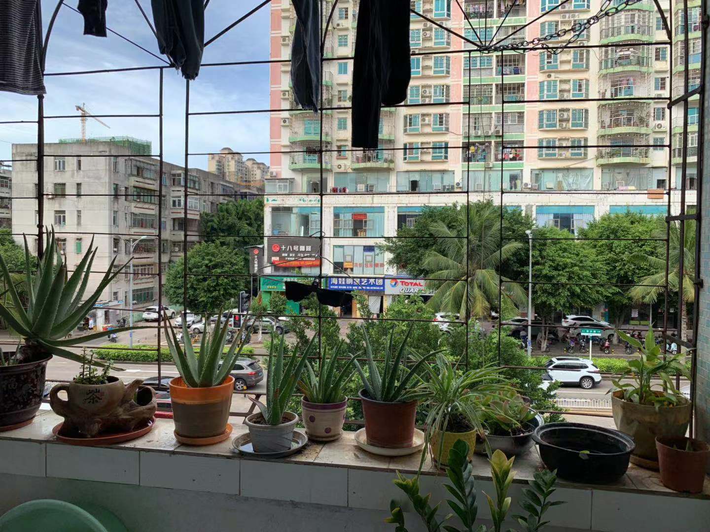 外景图