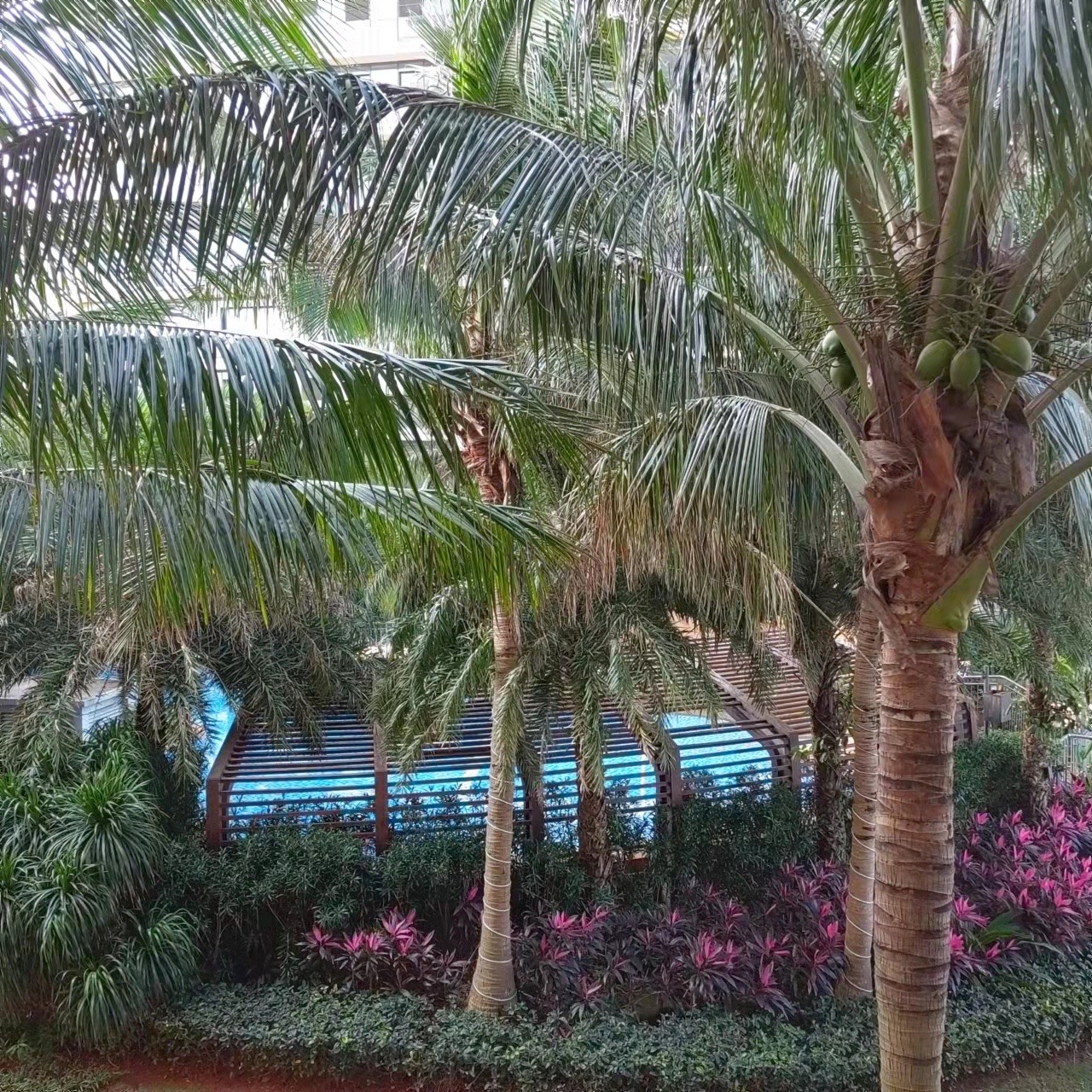 外景图