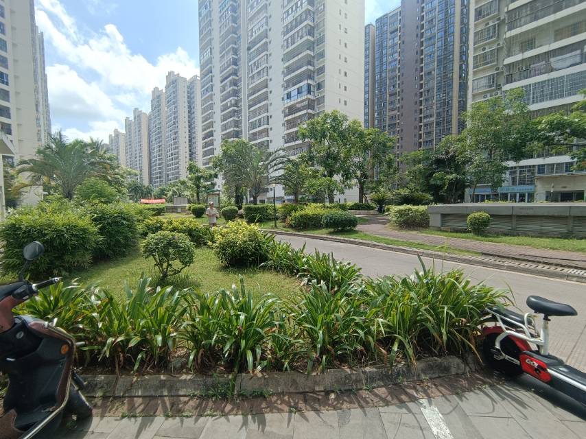 外景图
