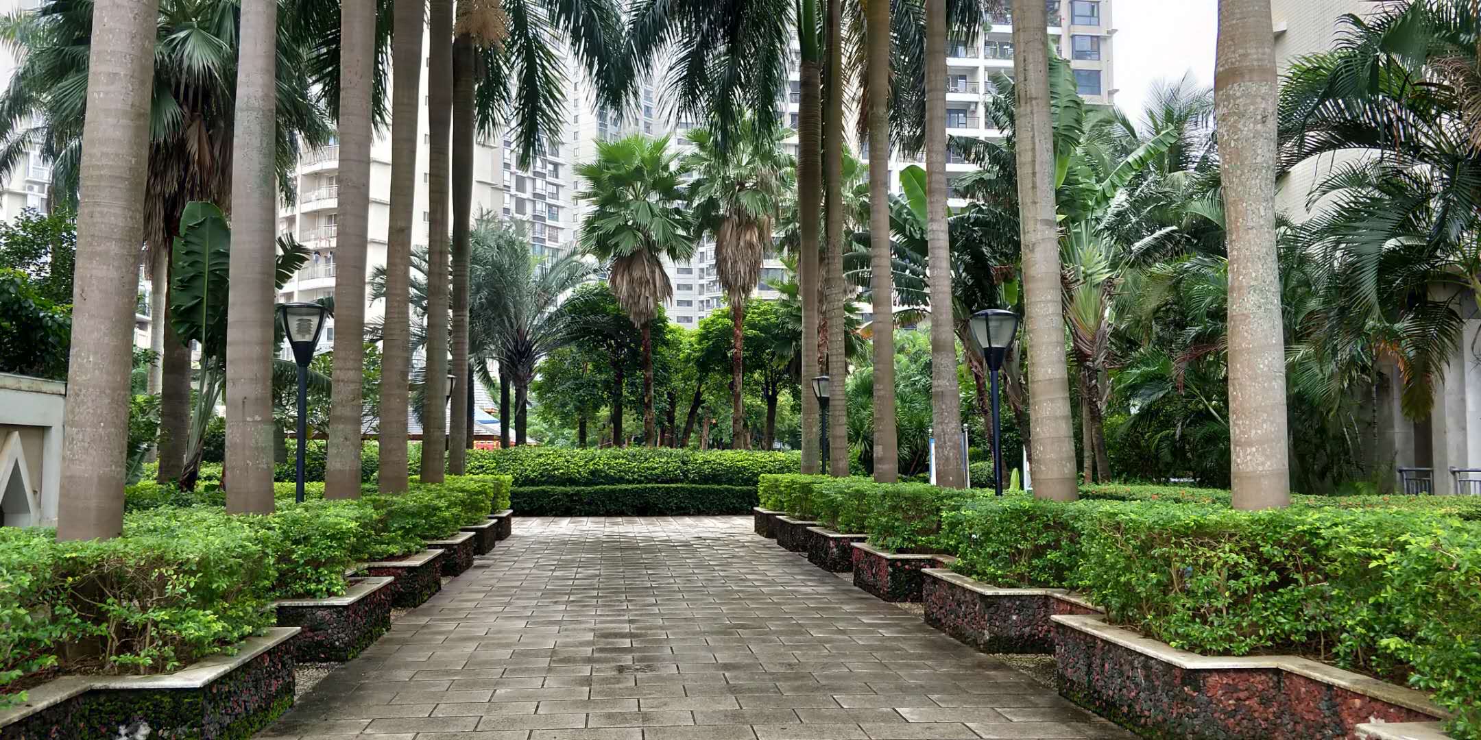 外景图