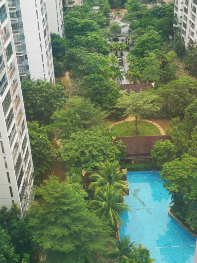 外景图