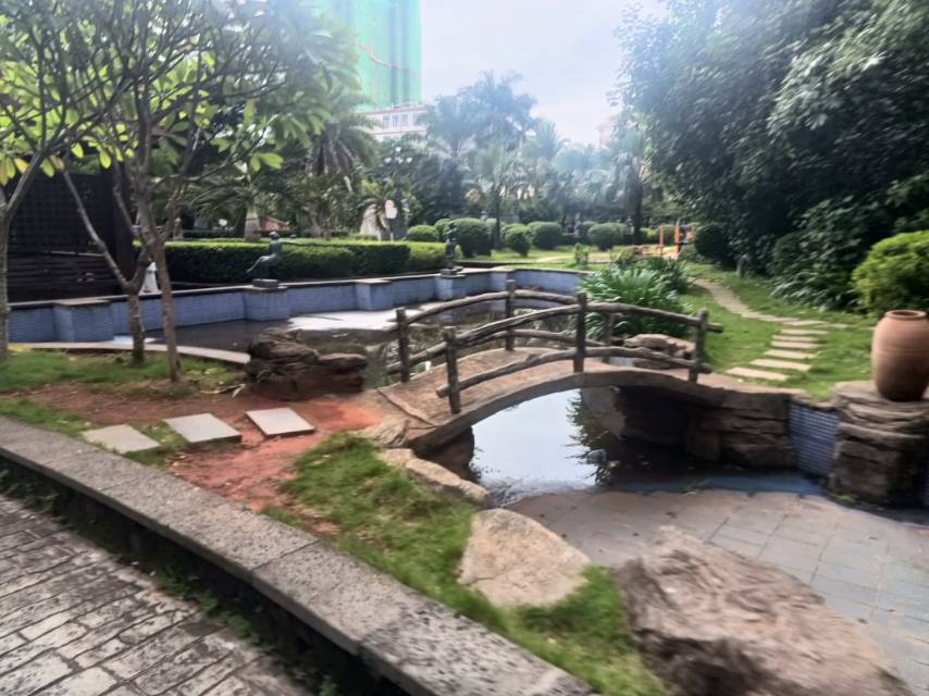 外景图