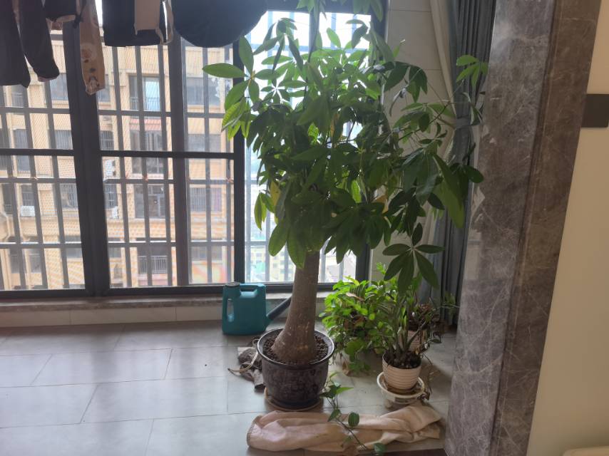 阳台