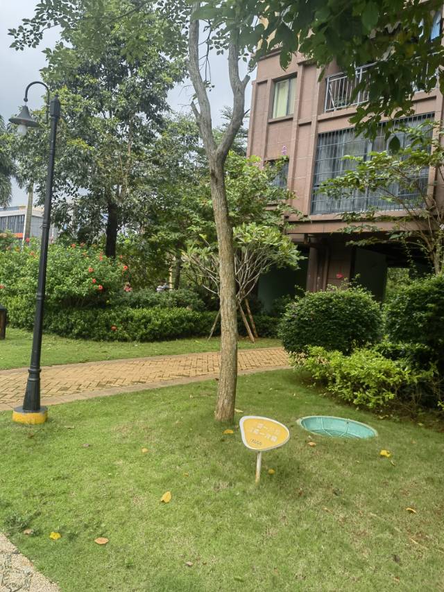 外景图