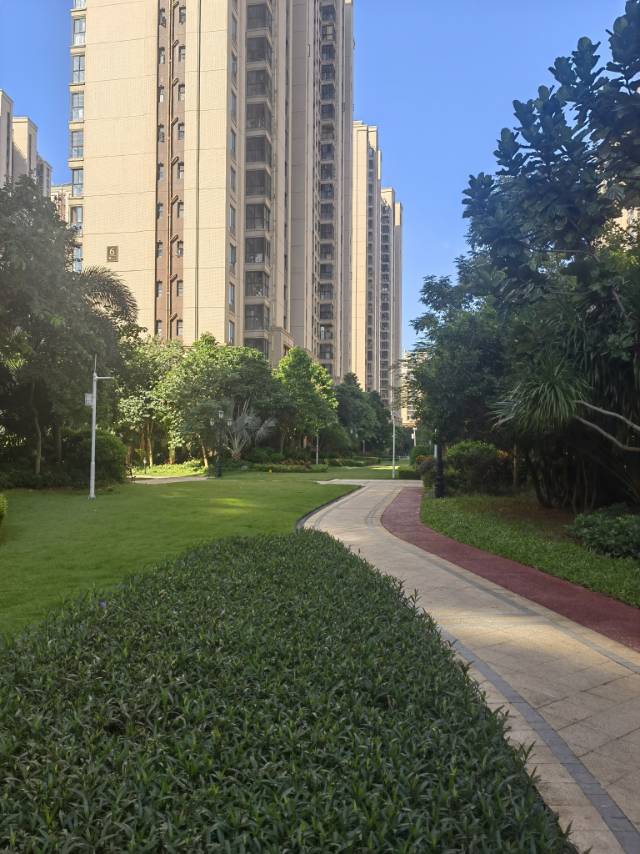 外景图