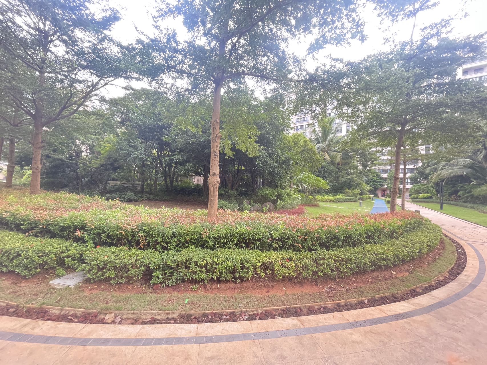 外景图