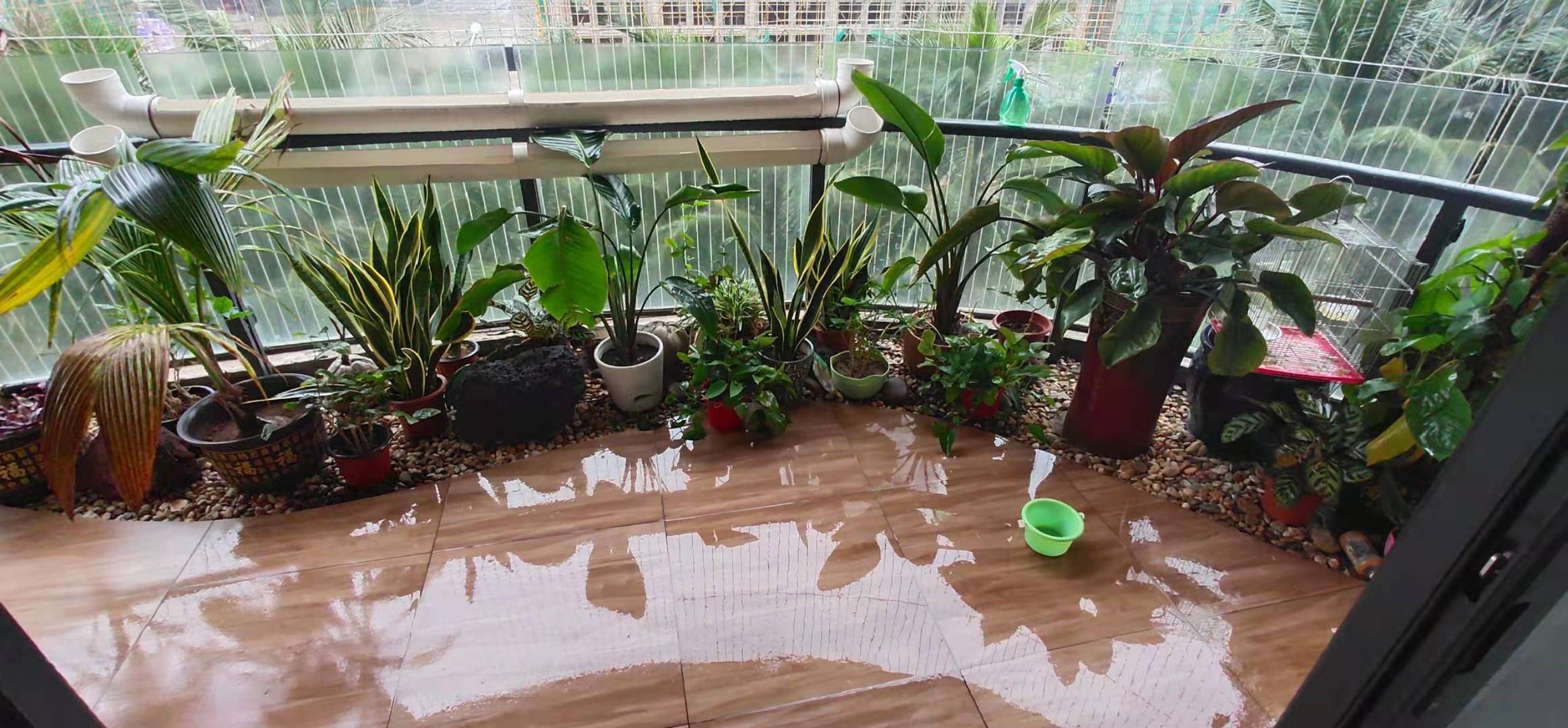 阳台