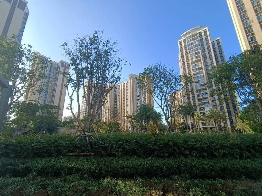 外景图