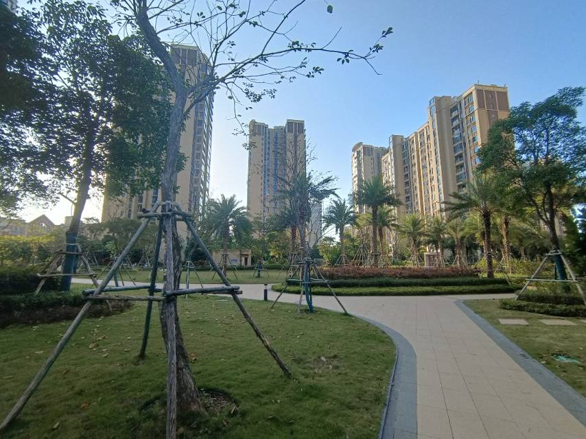 外景图