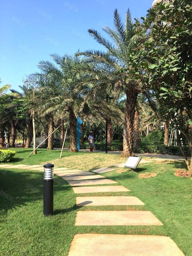 外景图