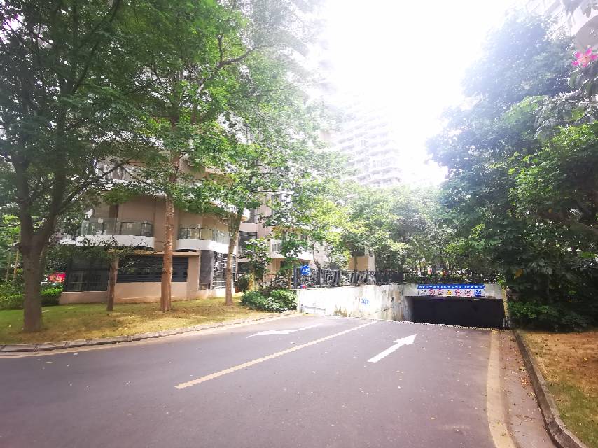 外景图