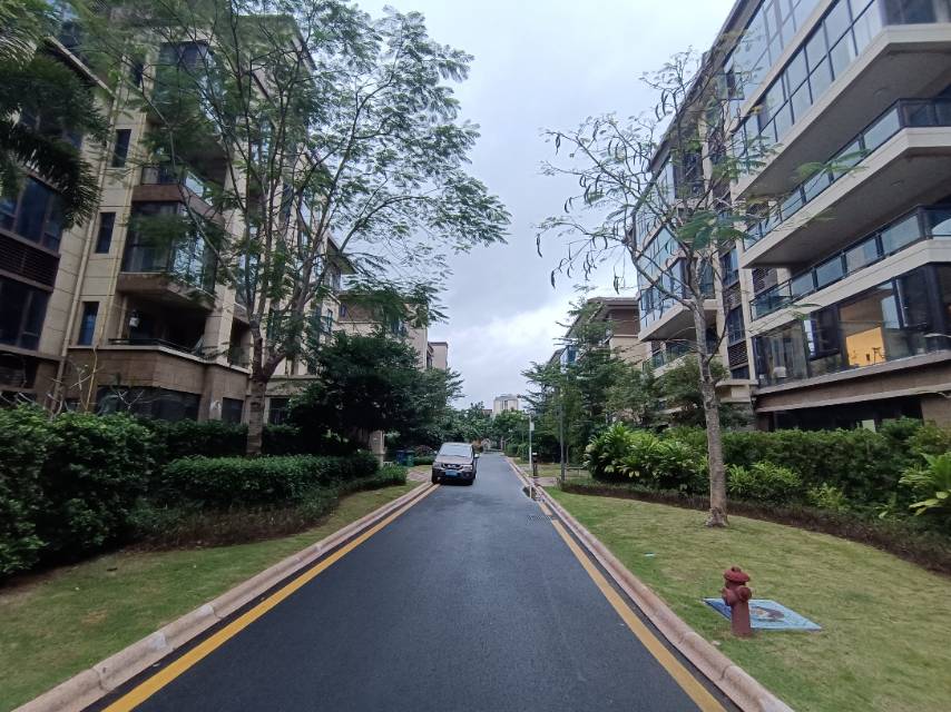 外景图