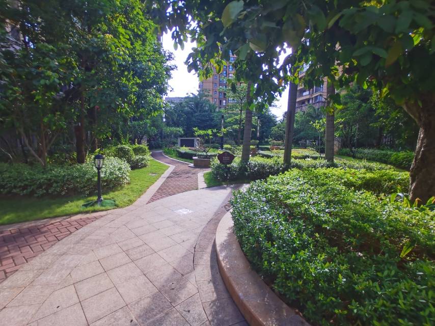 外景图