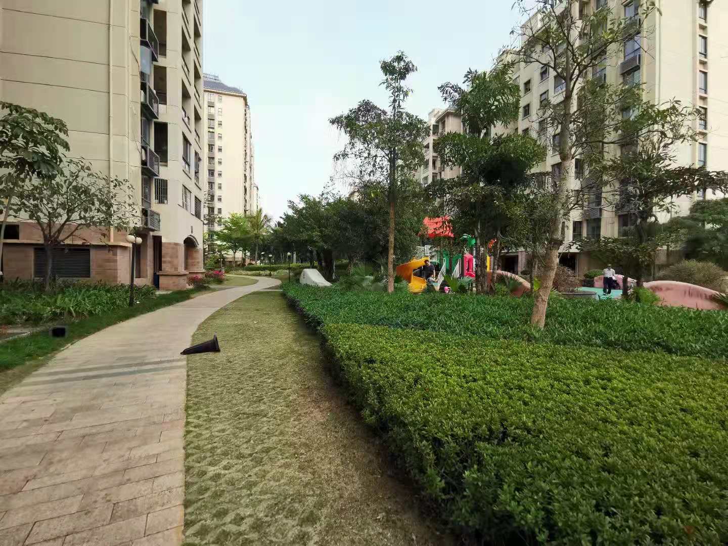 外景图