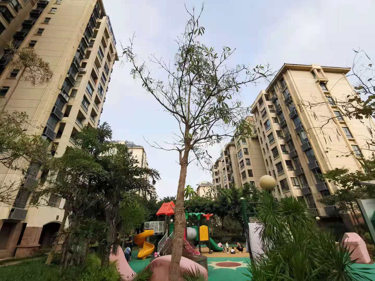 外景图