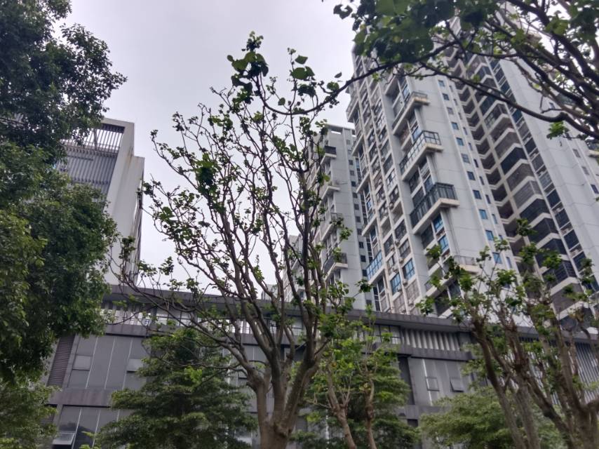 外景图