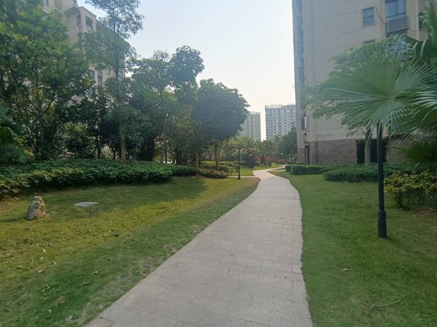 外景图