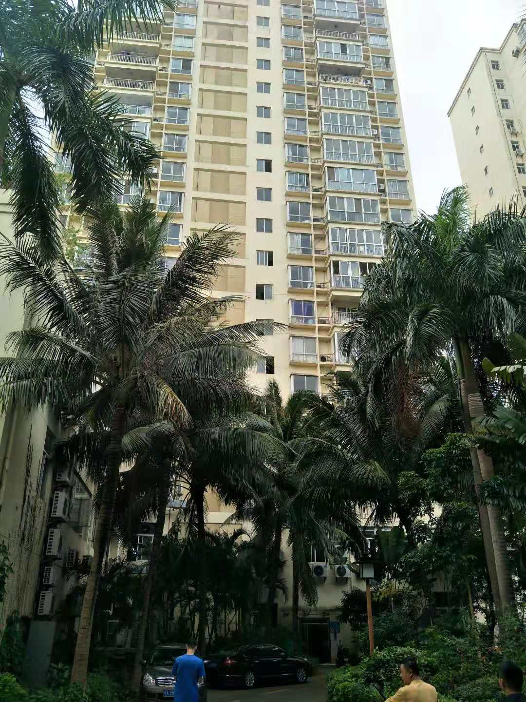 外景图