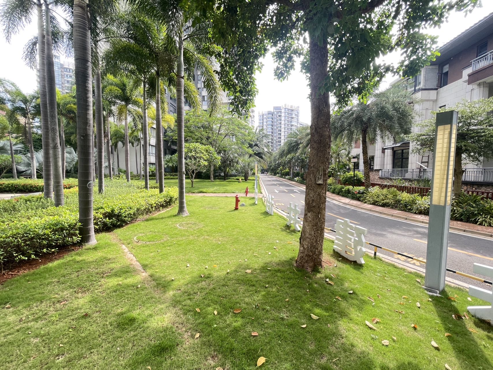 外景图