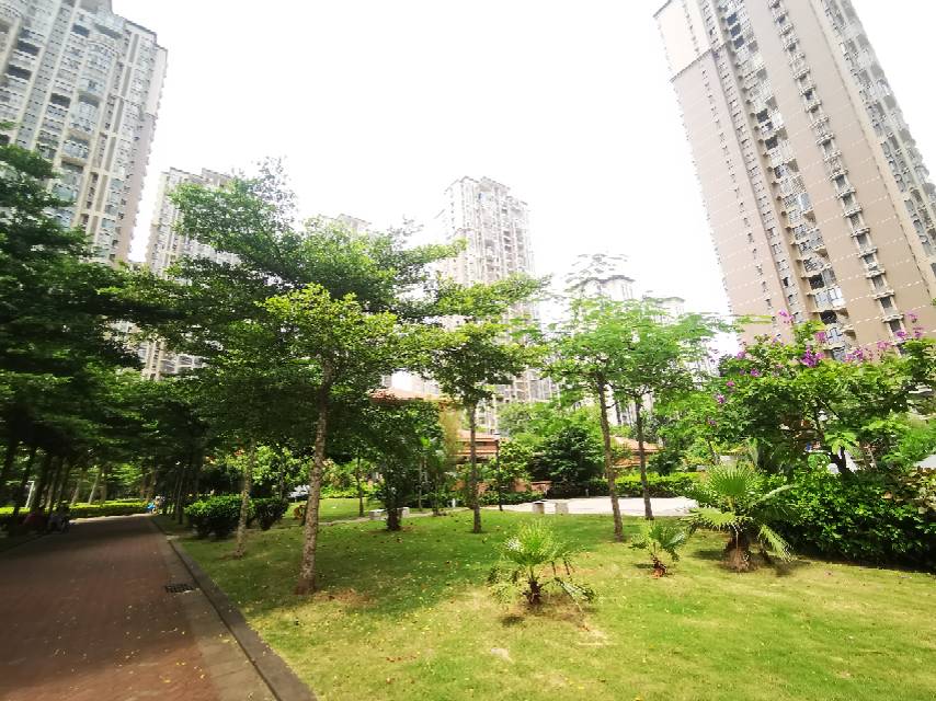 外景图