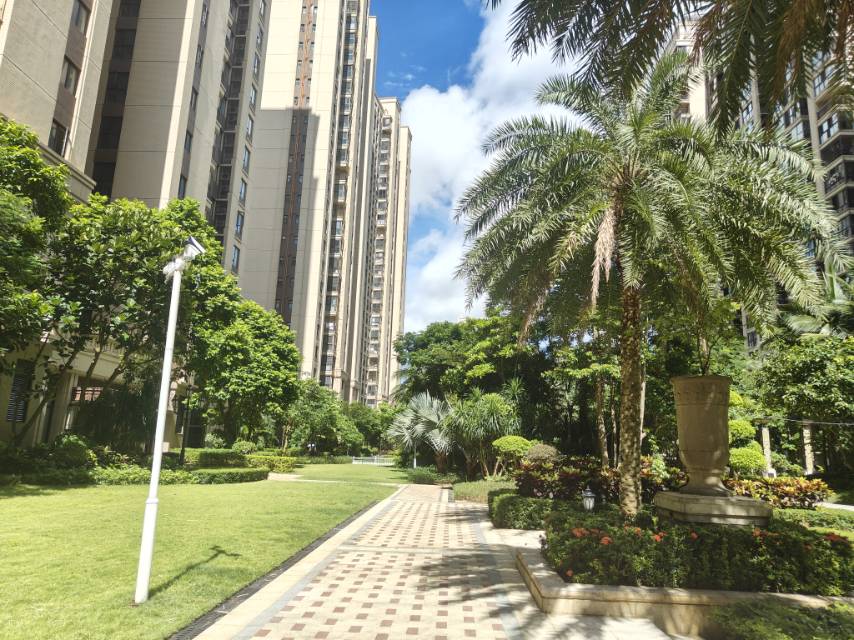 外景图