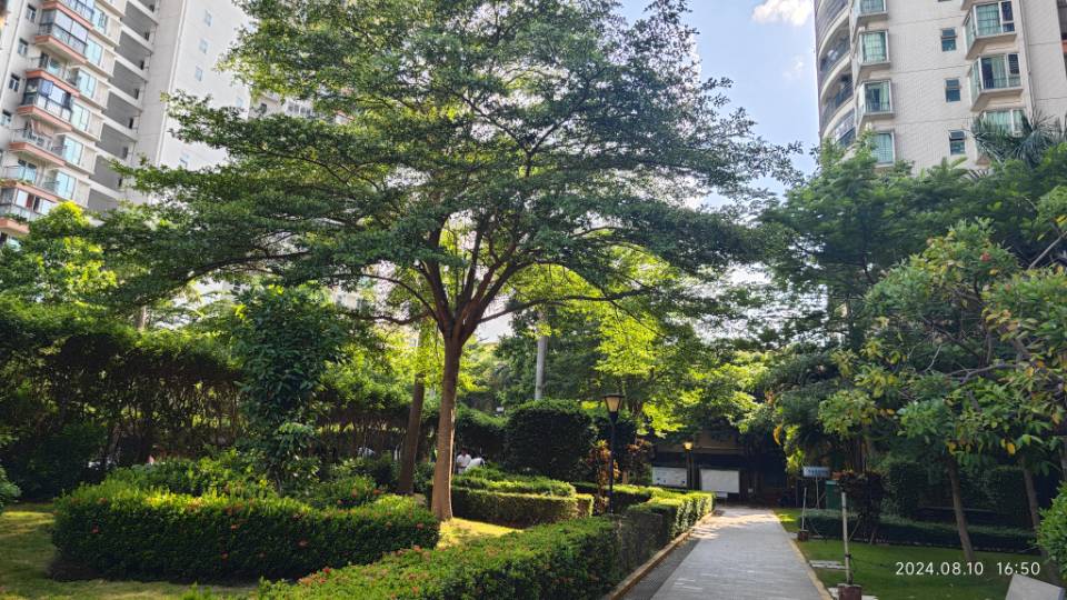 外景图