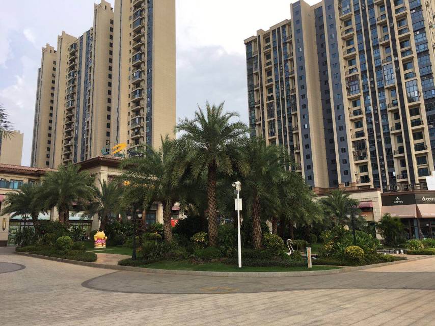 外景图