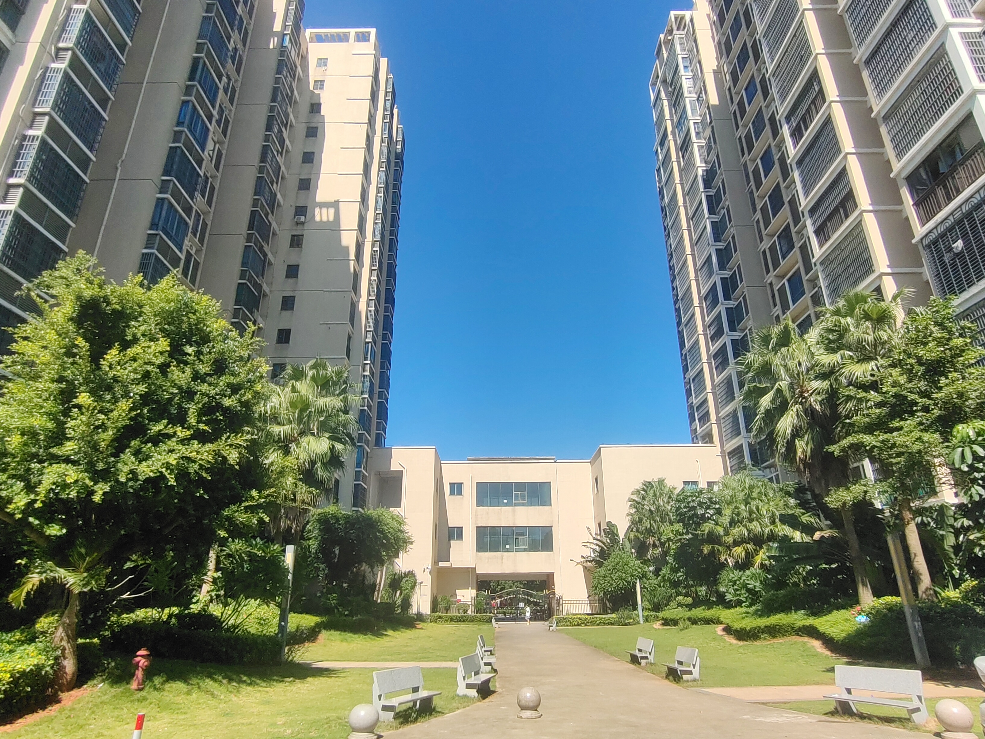 外景图