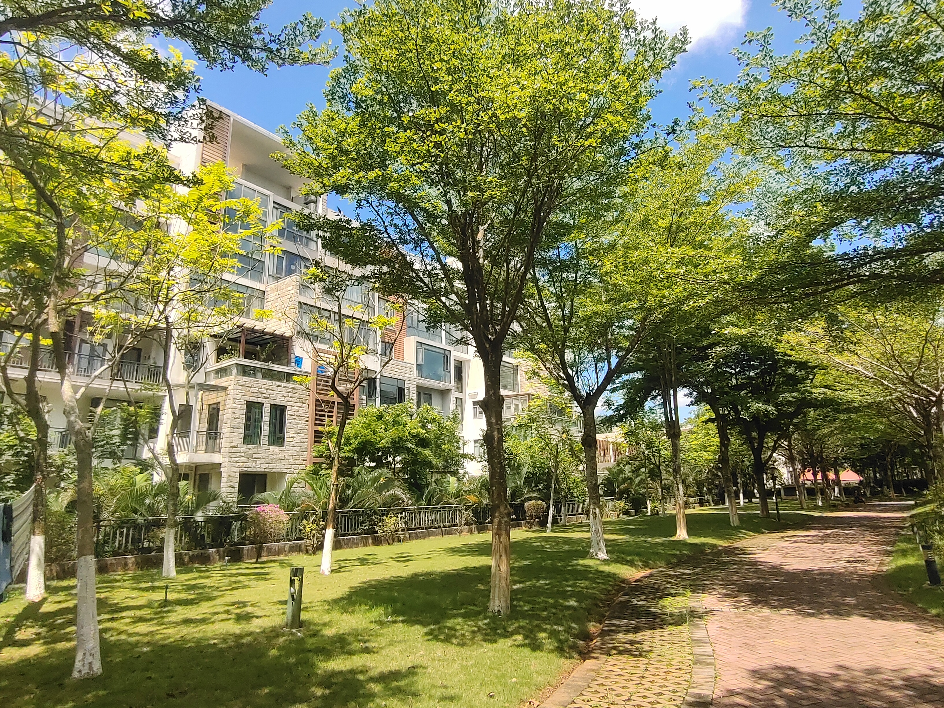 外景图
