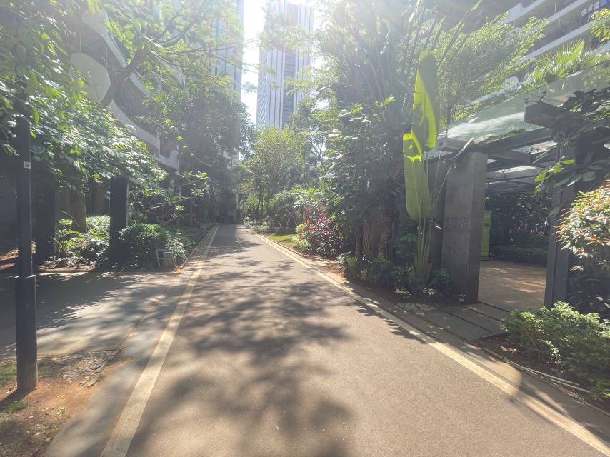 外景图