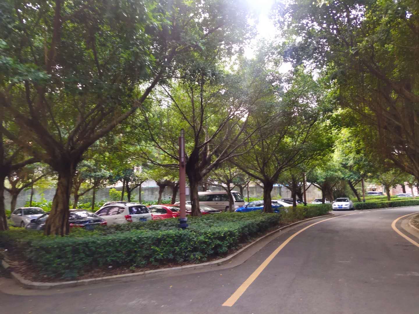 外景图
