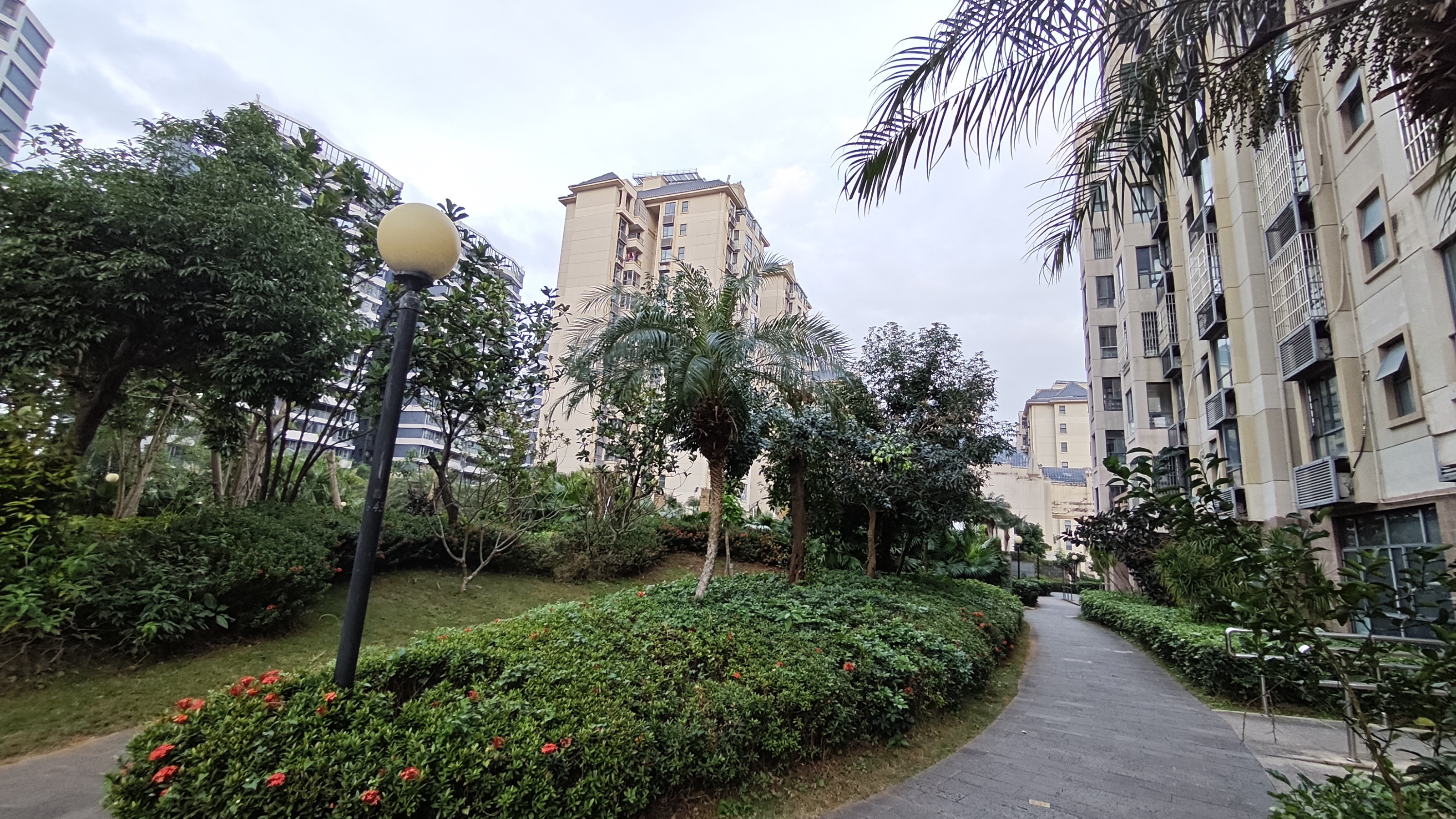 外景图