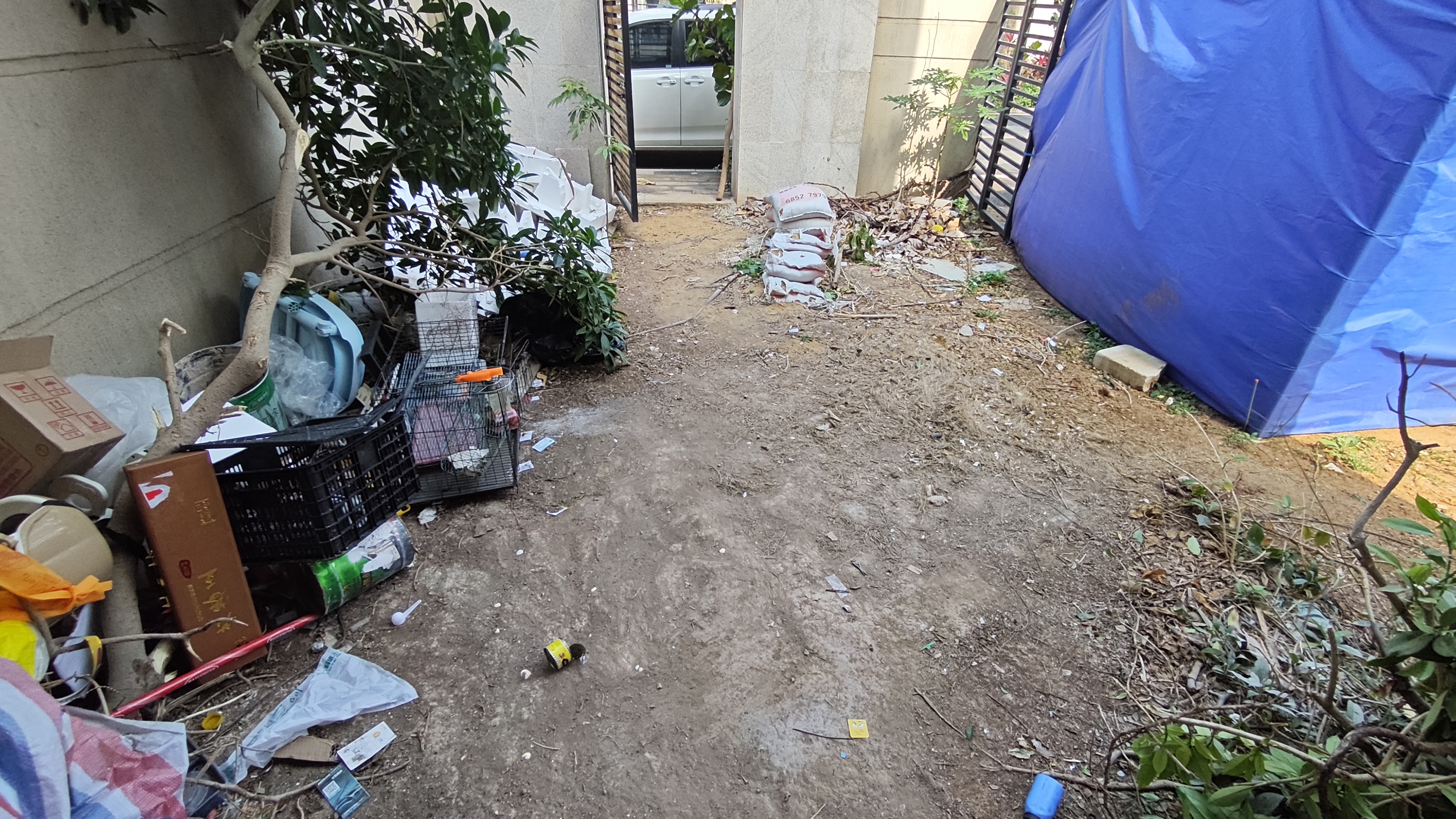 客厅
