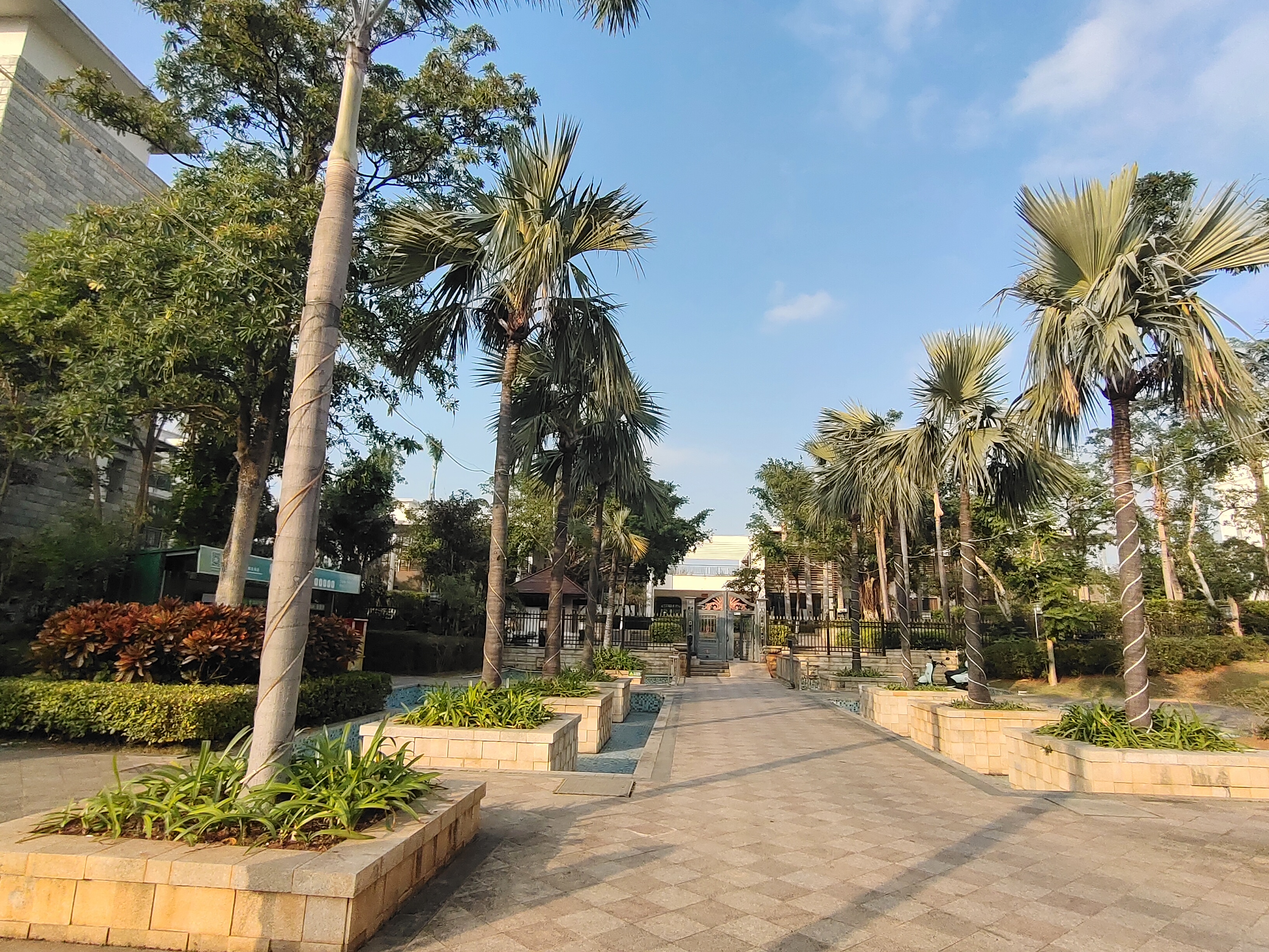 外景图