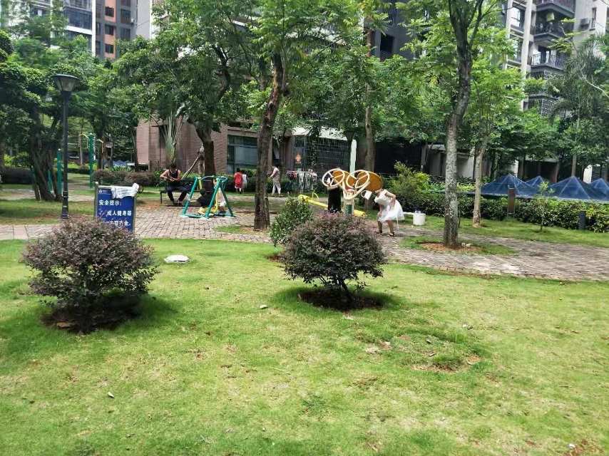 外景图