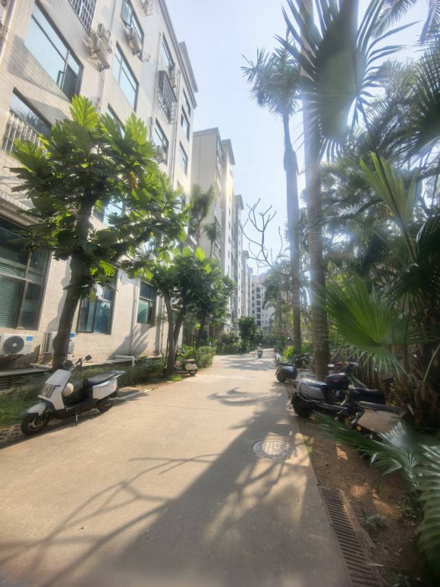 外景图