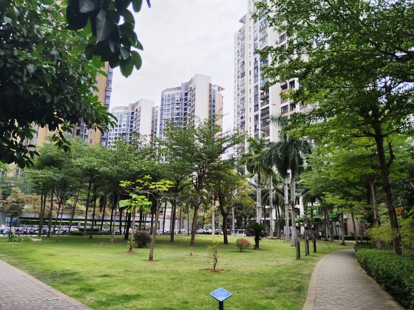 外景图