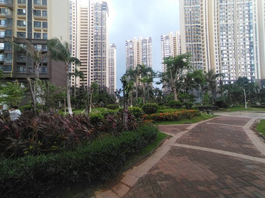 外景图