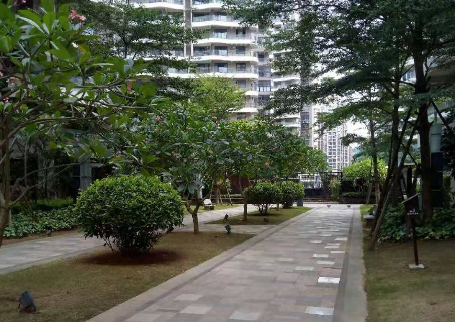 外景图