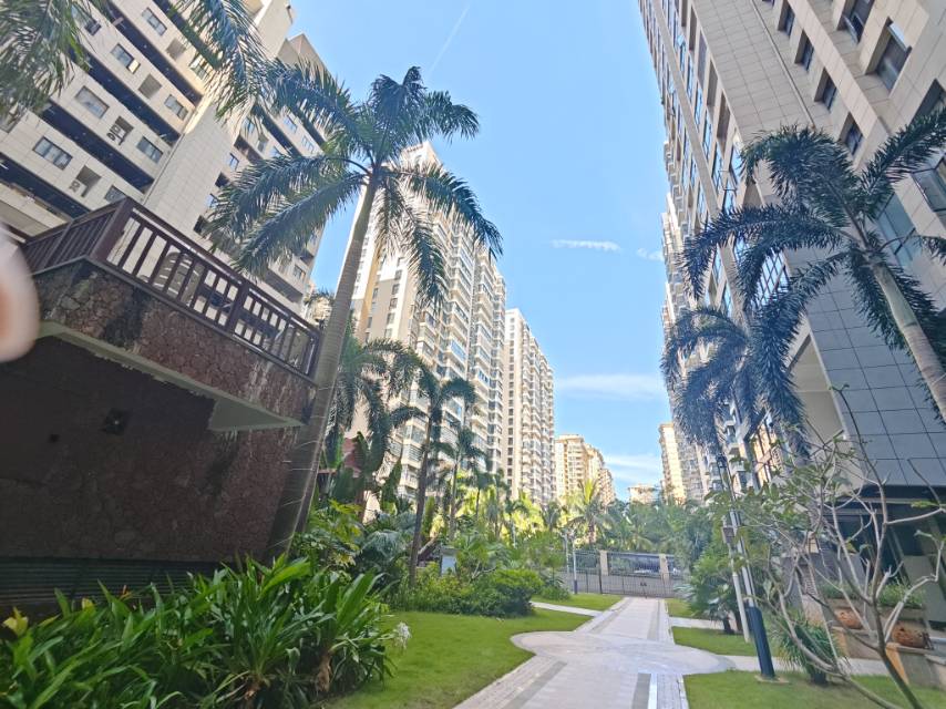 外景图
