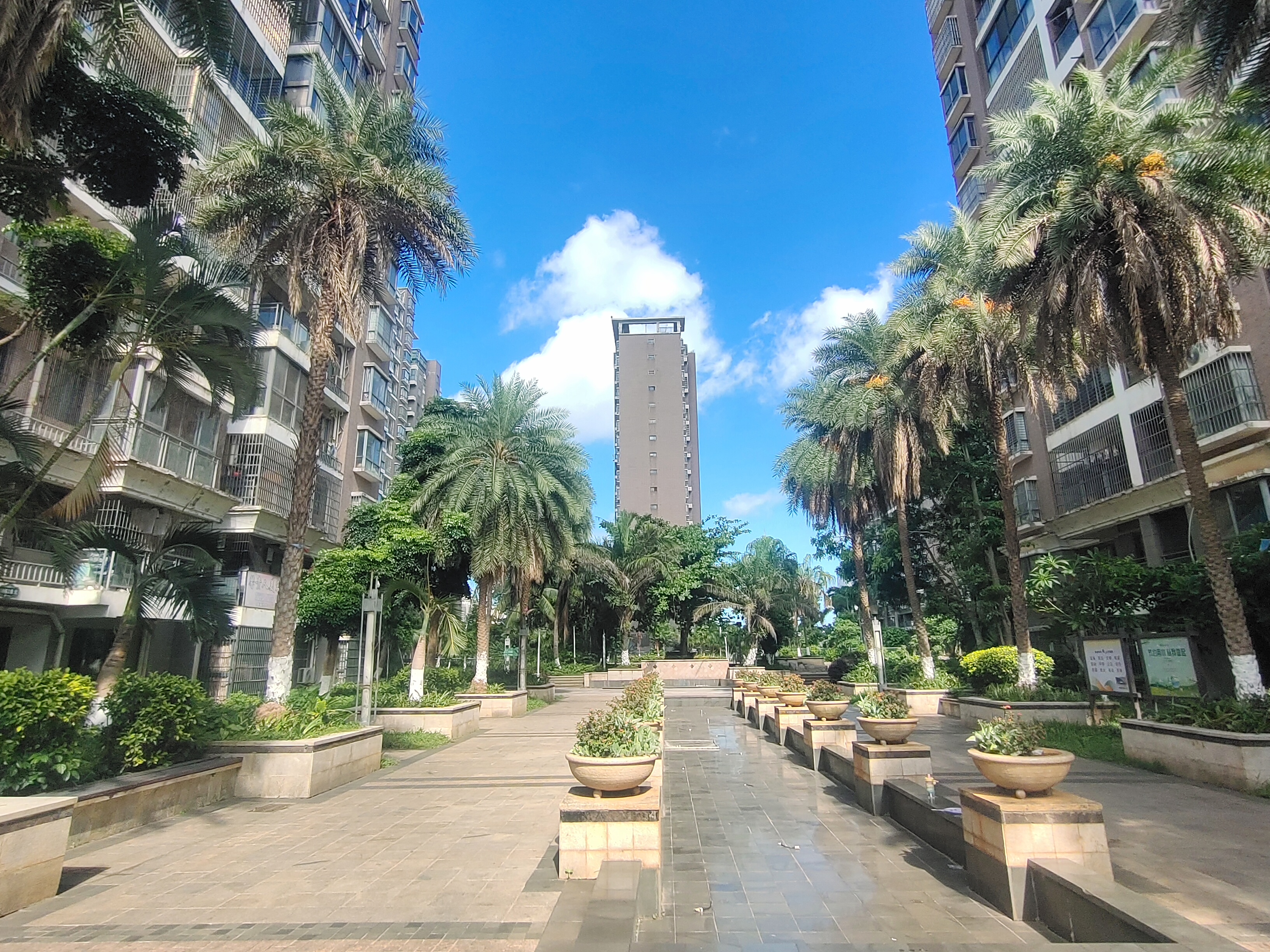 外景图