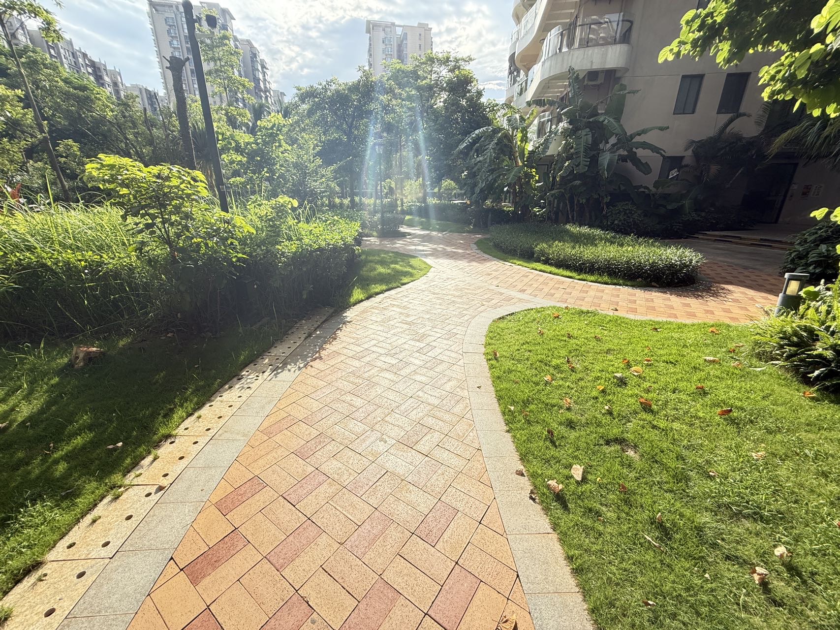 外景图