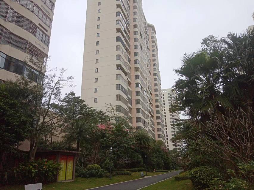 外景图