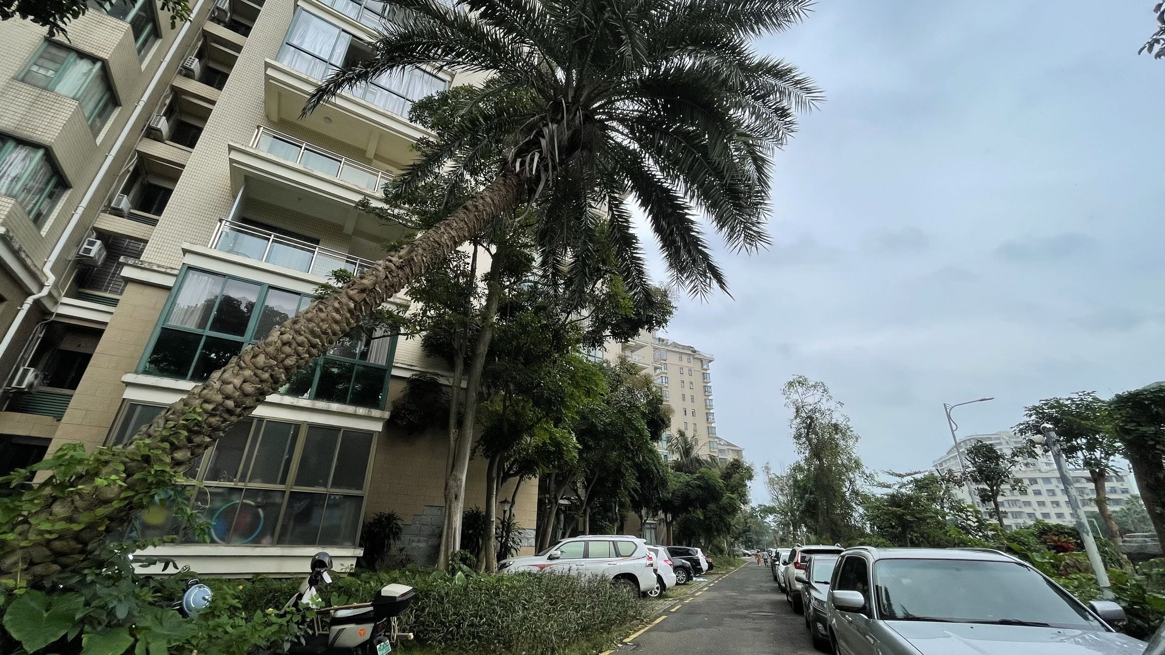 外景图