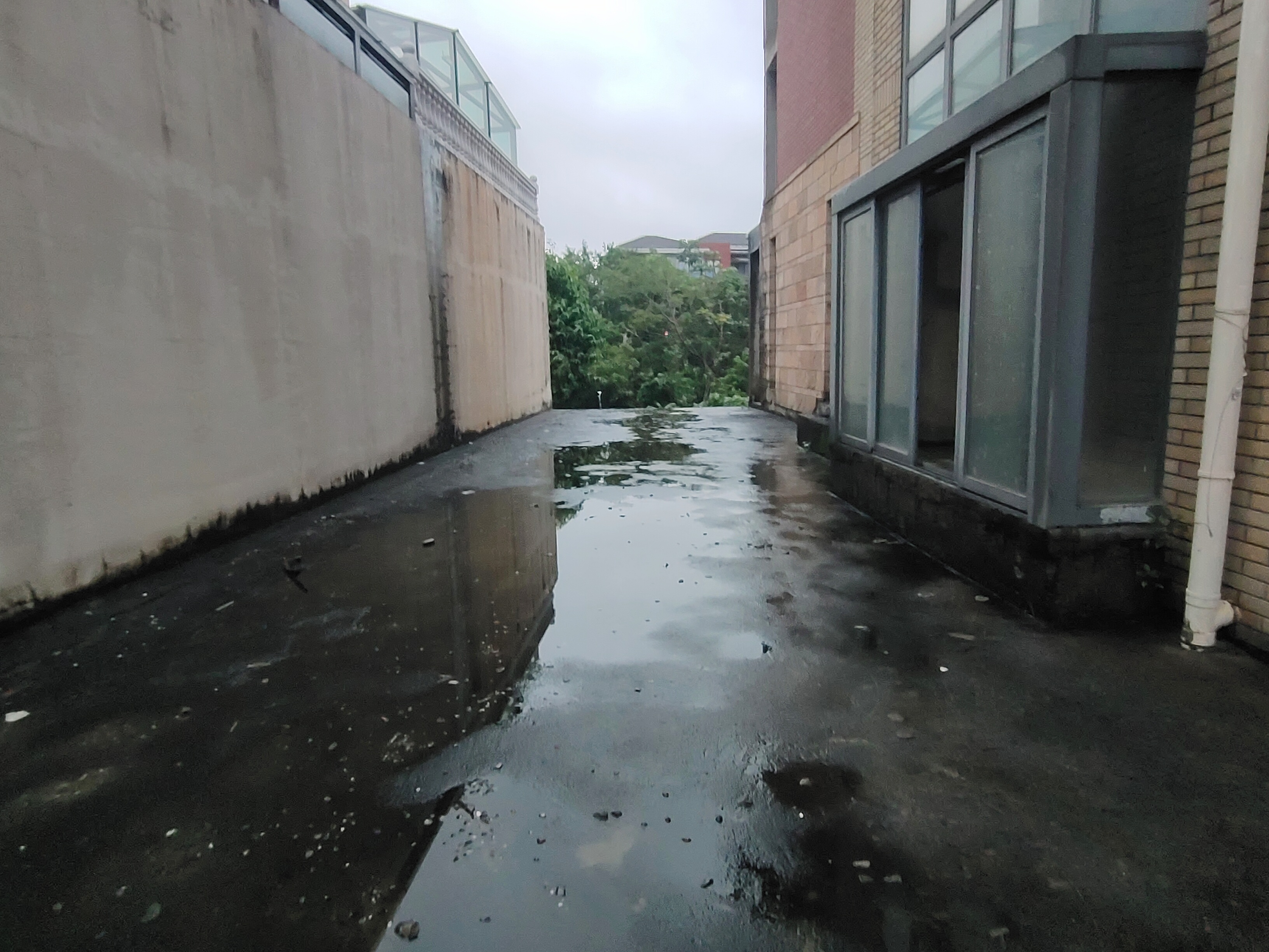 其它