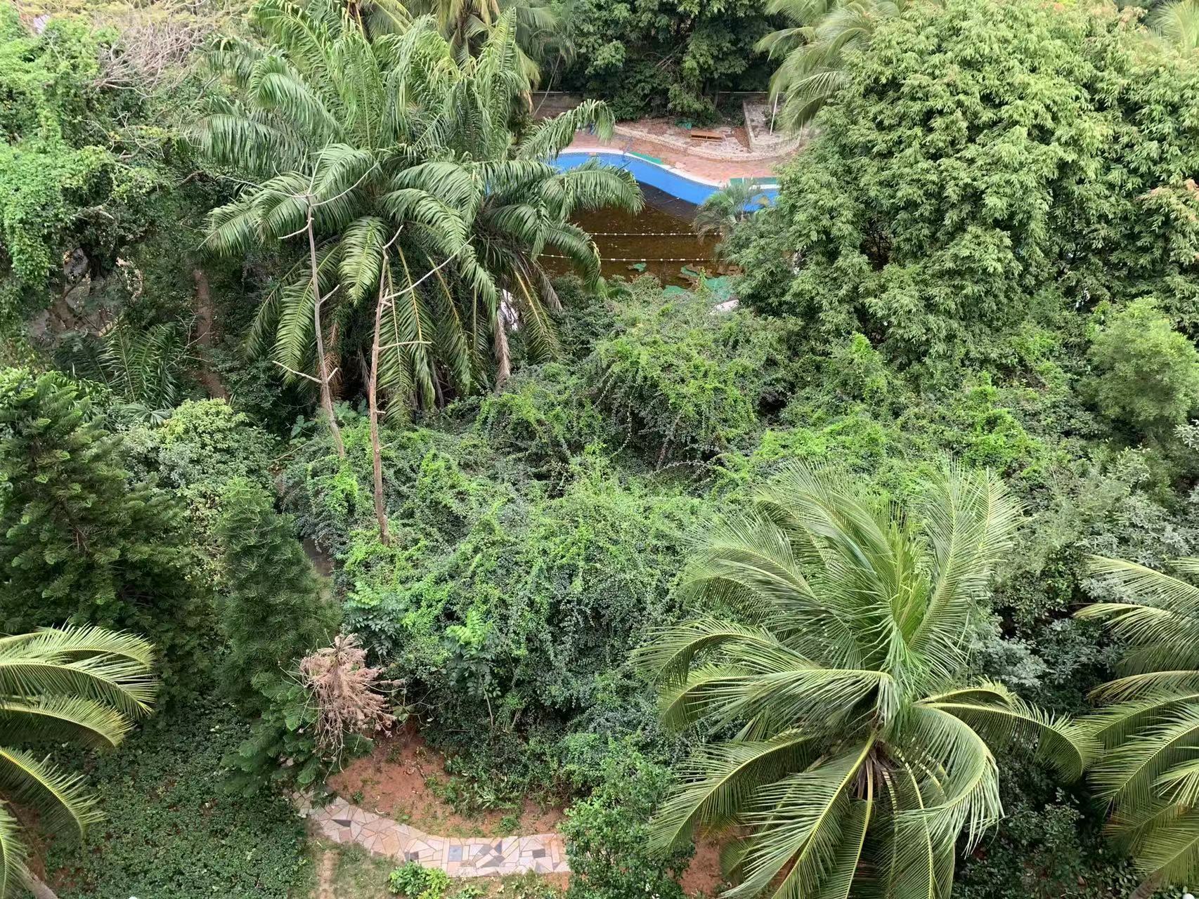 外景图