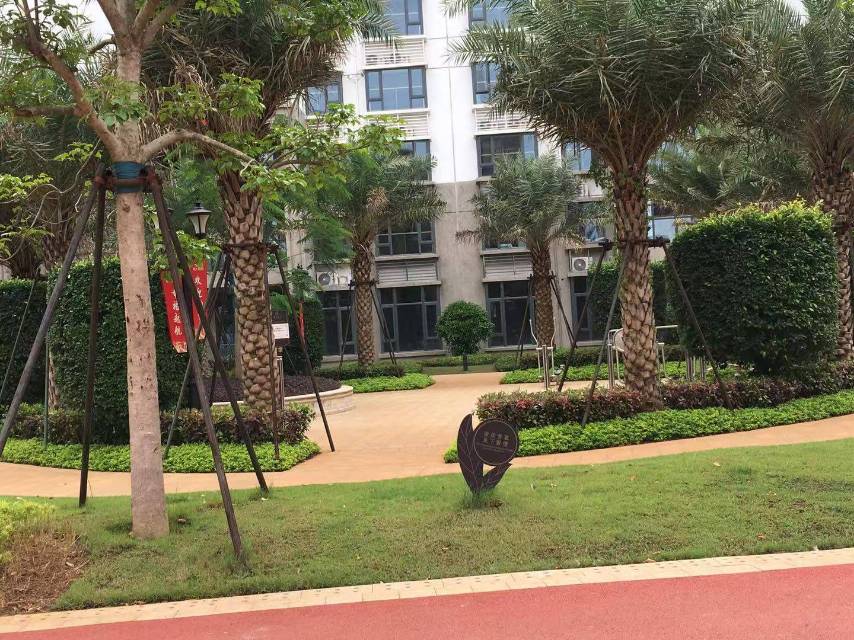 外景图