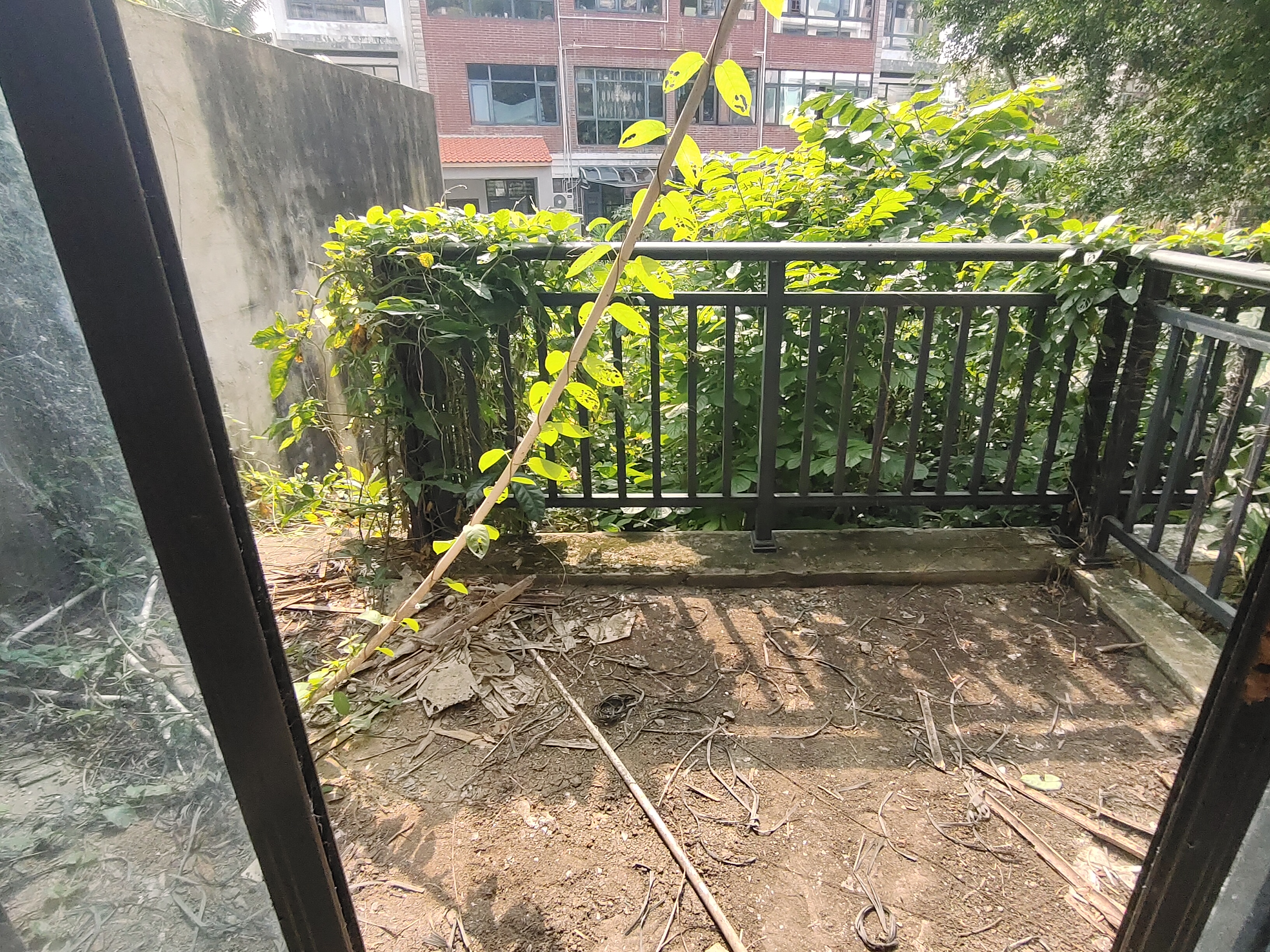 阳台