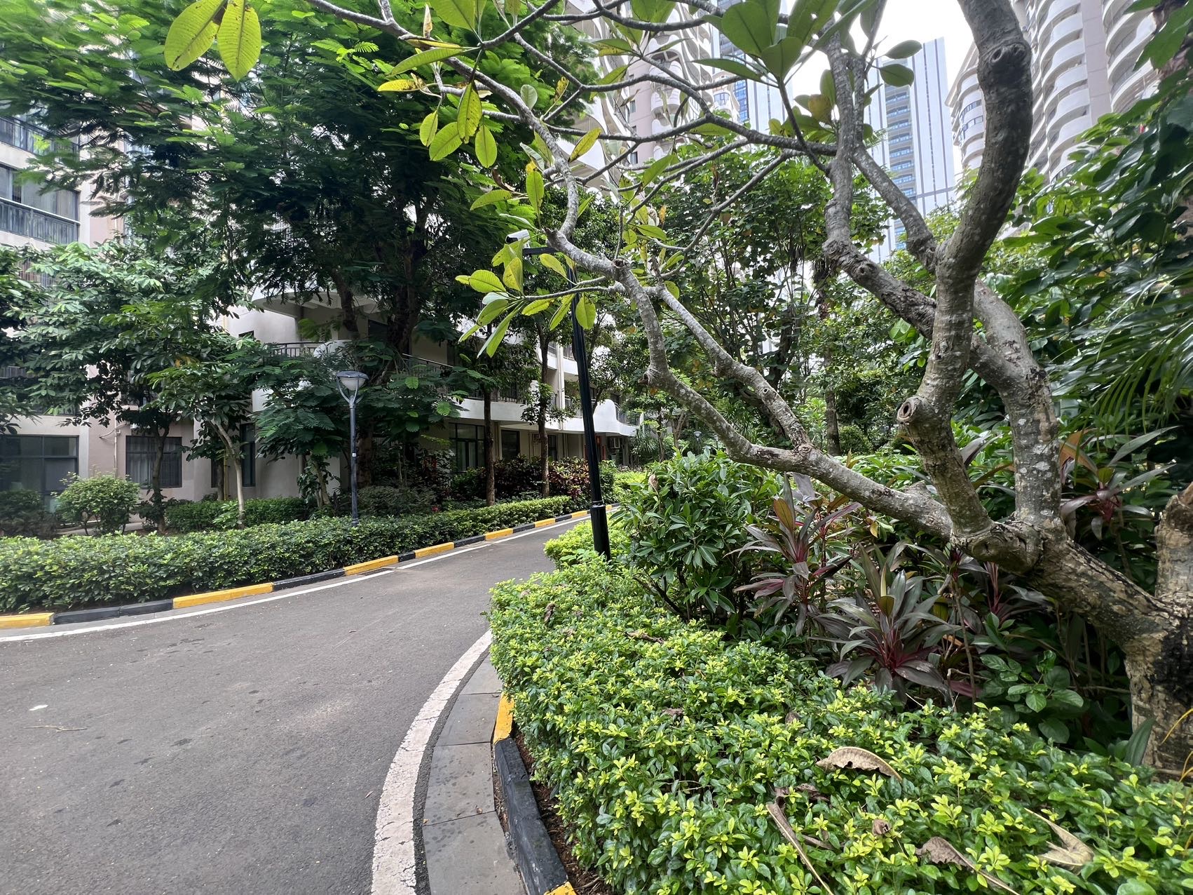 外景图
